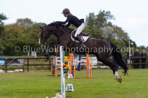 HOYS26-825