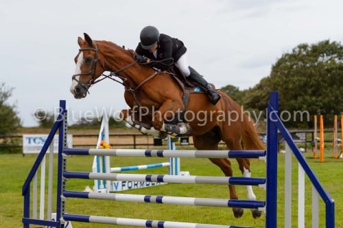 HOYS26-831