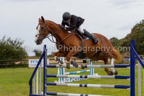 HOYS26-832
