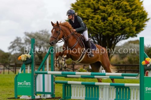 HOYS26-835