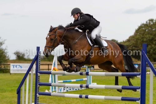 HOYS26-839