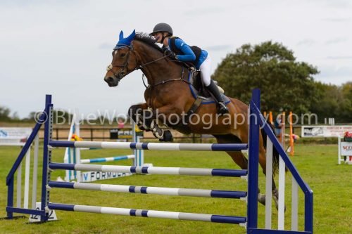 HOYS26-841
