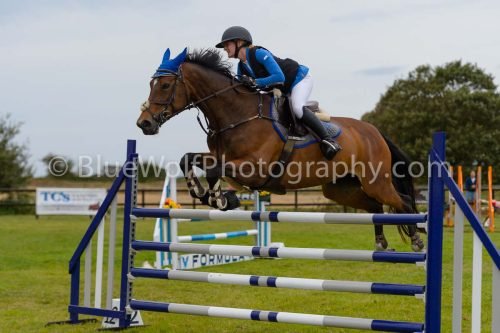HOYS26-842