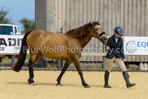 HOYS26-59