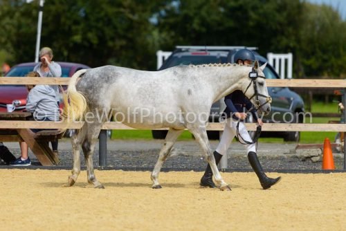 HOYS26-60