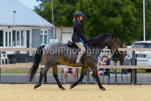 HOYS26-50