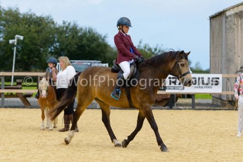 HOYS26-51