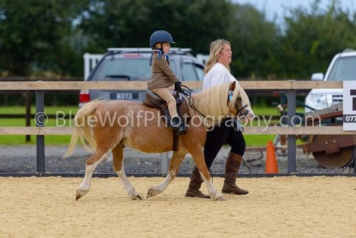 HOYS26-52