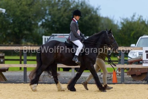 HOYS26-53