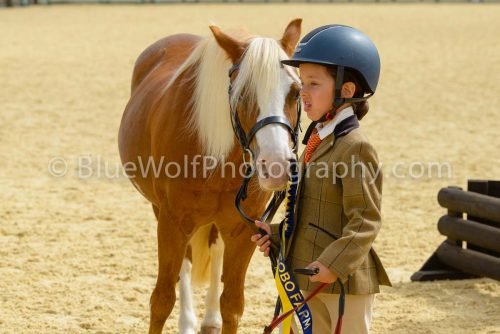 HOYS26-55