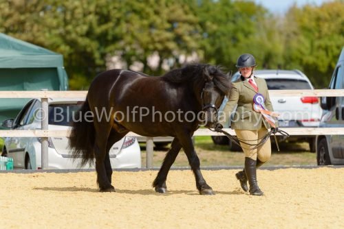 HOYS26-375