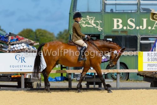 HOYS26-377