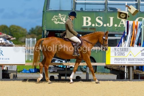 HOYS26-378