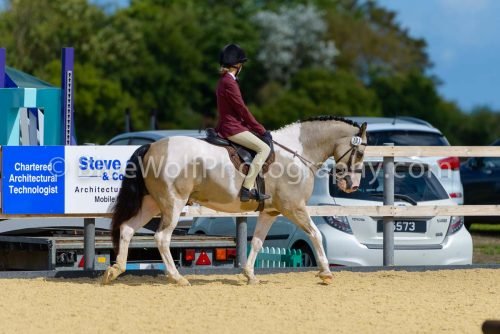 HOYS26-381