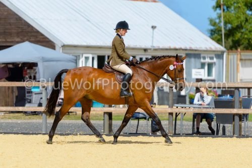 HOYS26-388