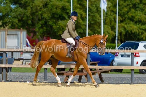 HOYS26-389