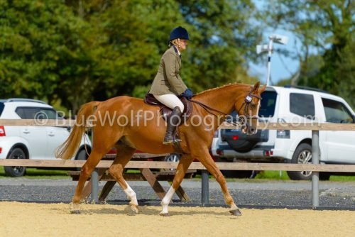 HOYS26-390