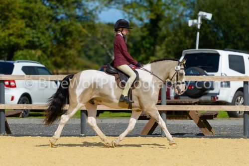 HOYS26-391