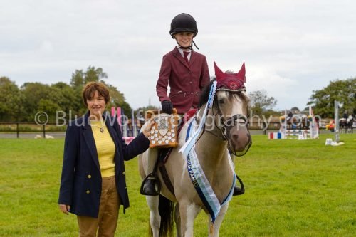 HOYS26-707