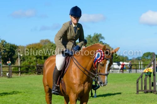 HOYS26-474