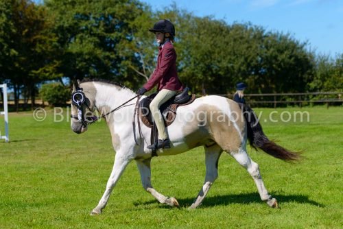 HOYS26-436