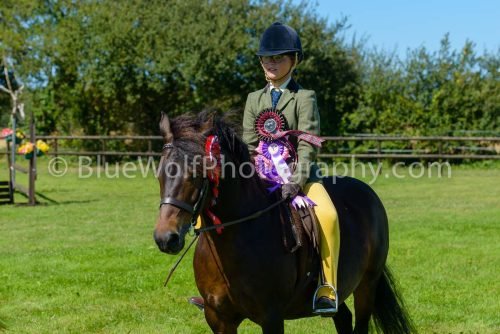 HOYS26-438