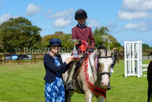 HOYS26-439