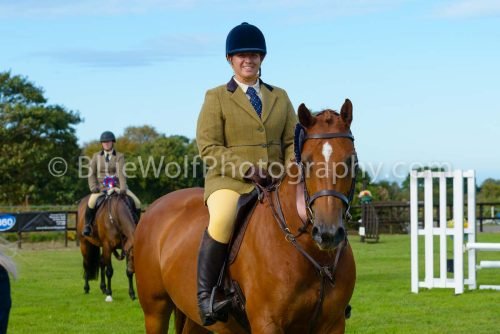 HOYS26-497