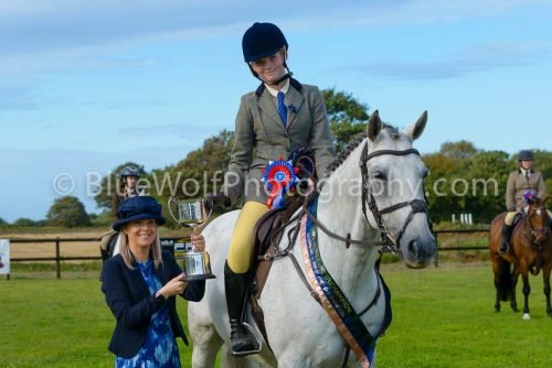 HOYS26-498