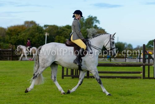 HOYS26-500