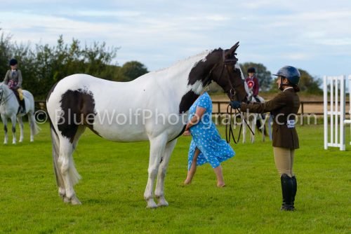HOYS26-501