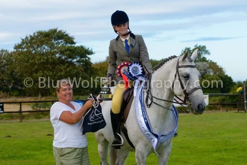 HOYS26-502
